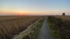 Sunrise Westwood Marshes