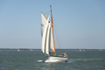 170526 IVY GREEN EB6 1Y3A0972