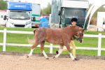SBM_09196
