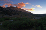 Photos for the Week of 12/06/2010