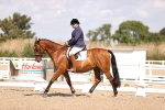 SBM_03642