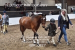 BPP_0827