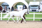 SBM_05884