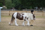 WJ6_7859