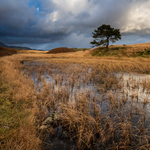 Lake District portfolio