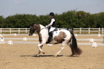 SBM_004160