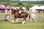 SBM_09586