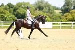 Class 26-29 - AM6-FEI PSG portfolio