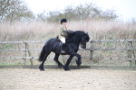 SBM_006326