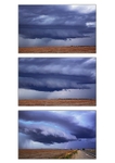 Guster Triptych1-A4