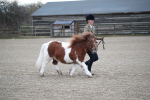 SBM_003926