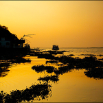 Chinese fishing nets at sunset