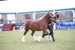 SBM_09829