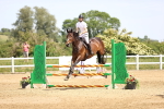 SBM_004256