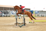 SBM_005353