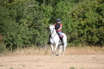 WJ6_7157