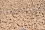 231015A-132926-08324
