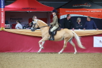SBM_09790