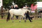 SBM_04093