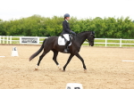 SBM_006954