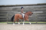SBM_005996