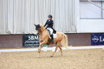 SBM_021313