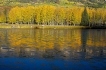 Cimmaron Pond 2
