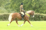 SBM_75341