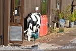 240315A-090250-00442