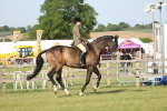 SBM_10264