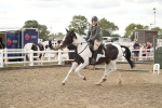 SBM_16623