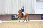 SBM_020704
