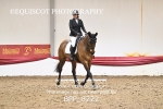 BPP_8222