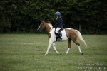 BVRC Dressage and Show Jumping 09/09/18 portfolio