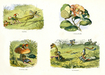 In Fairyland 19