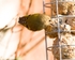 20110308-IMG_1821