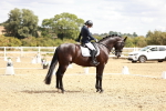 SBM_009485