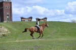 WJ5_2472