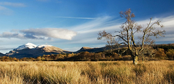 Landscapes portfolio