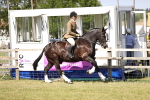 SBM_18690