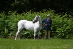 WJ7_2768