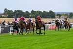 290826-Race 5-Supreme Clarets-7377