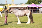 SBM_08868