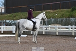 Dressage - CT Class 5 BE95 (90cm) portfolio