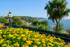 TQ219 - Summer at Babbacombe Downs in Torquay