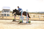 SBM_008832
