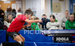 Table Tennis Green Trophy 2022-75