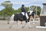 BPP_7165