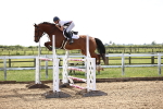SBM_002983_Class 5 - Senior Foxhunter - 120m