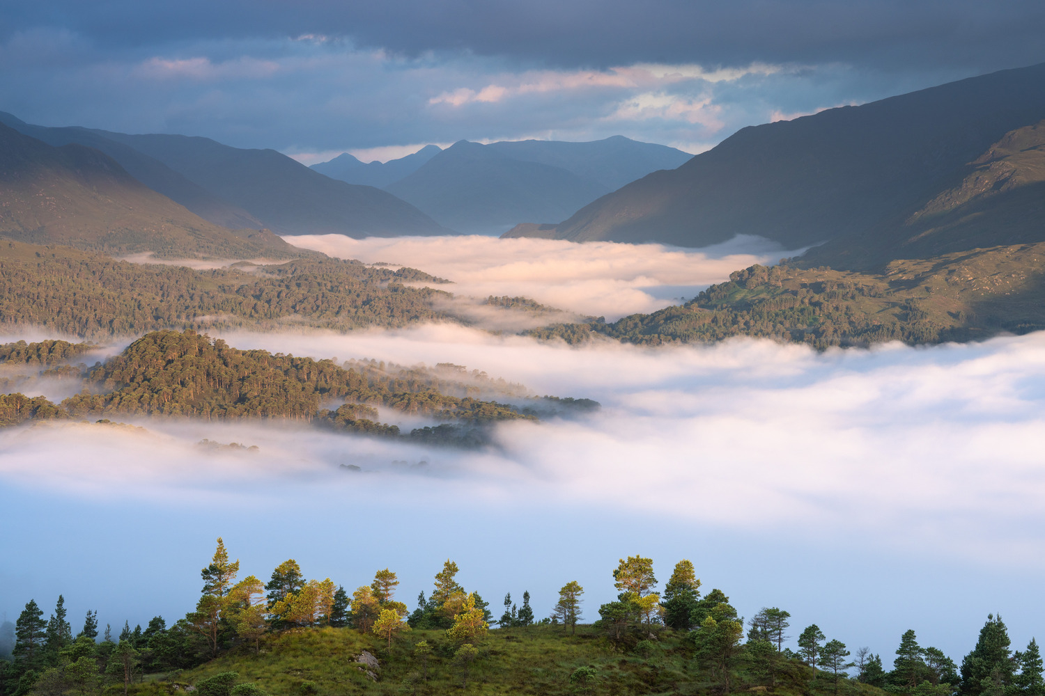 A magical morning deep within the Caledonian forest with extensive views over the morning mist towards the mountains…